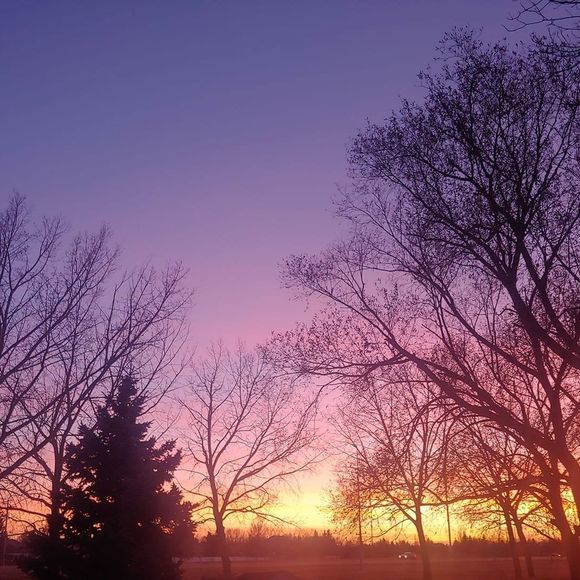 Meet your Posher, Andrea - Picture 1 of 1